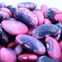 resized and cropped square image of runner beans