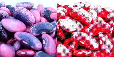 sprite style image of runner beans